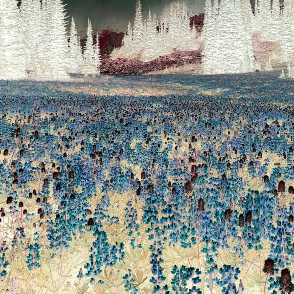 the album cover for Marc Barreca - Recordings Of Failing Light