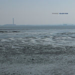 フェネス - Black Sea (ビニールレコード)