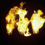 ショー・ミー・ザ・ボディ - トラブル・ザ・ウォーター(レコード)