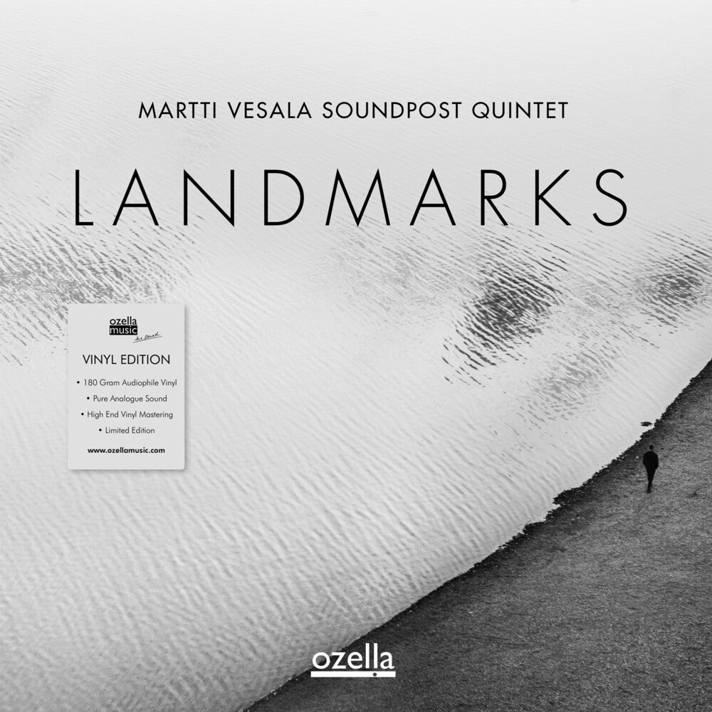 the album cover for Vesala, Martti - Landmarks