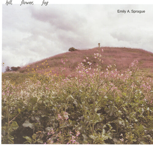 Emily A. Sprague - Hill, Flower, Fog - Foggy White (Vinyl)