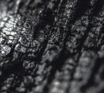 the album cover for Parallel Worlds - Plector