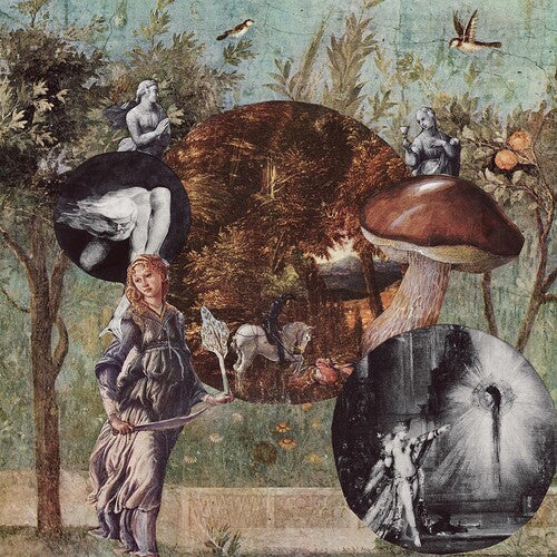 ネイティブ・ハロウ - オールド・カインド・オブ・マジック (レコード)