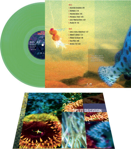 Steve Morse Band - Split Decision - Green (Vinyl)
