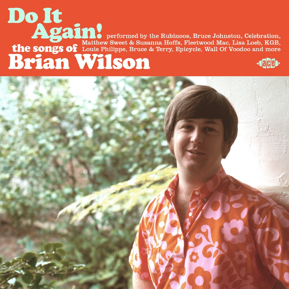 the album cover for Do It Again: The Songs Of Brian Wilson / Various - Do It Again: The Songs Of Brian Wilson / Various