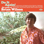 the album cover for Do It Again: The Songs Of Brian Wilson / Various - Do It Again: The Songs Of Brian Wilson / Various
