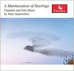 the album cover for Satterwhite / Karr / Mattingly - Murmuration Of Starlings