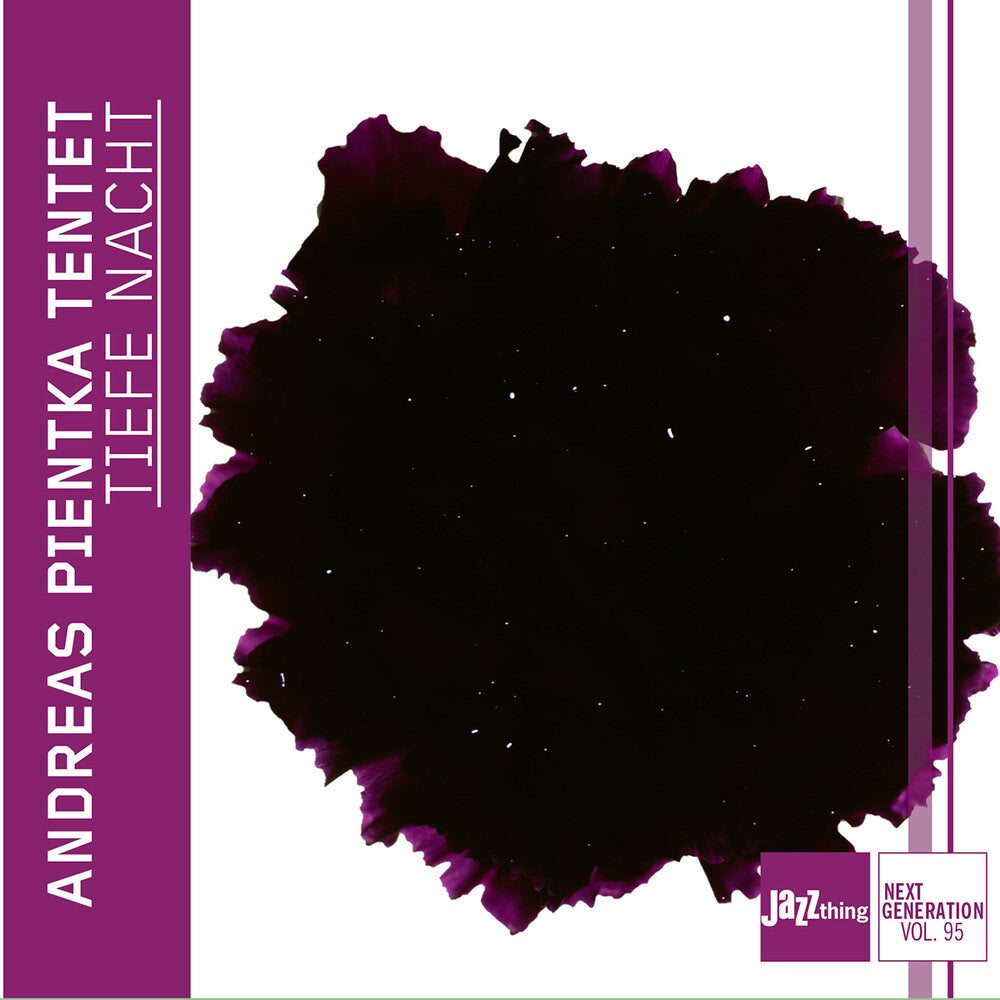 the album cover for Andreas Pientka - Jazz Thing Next Generation Vol. 95