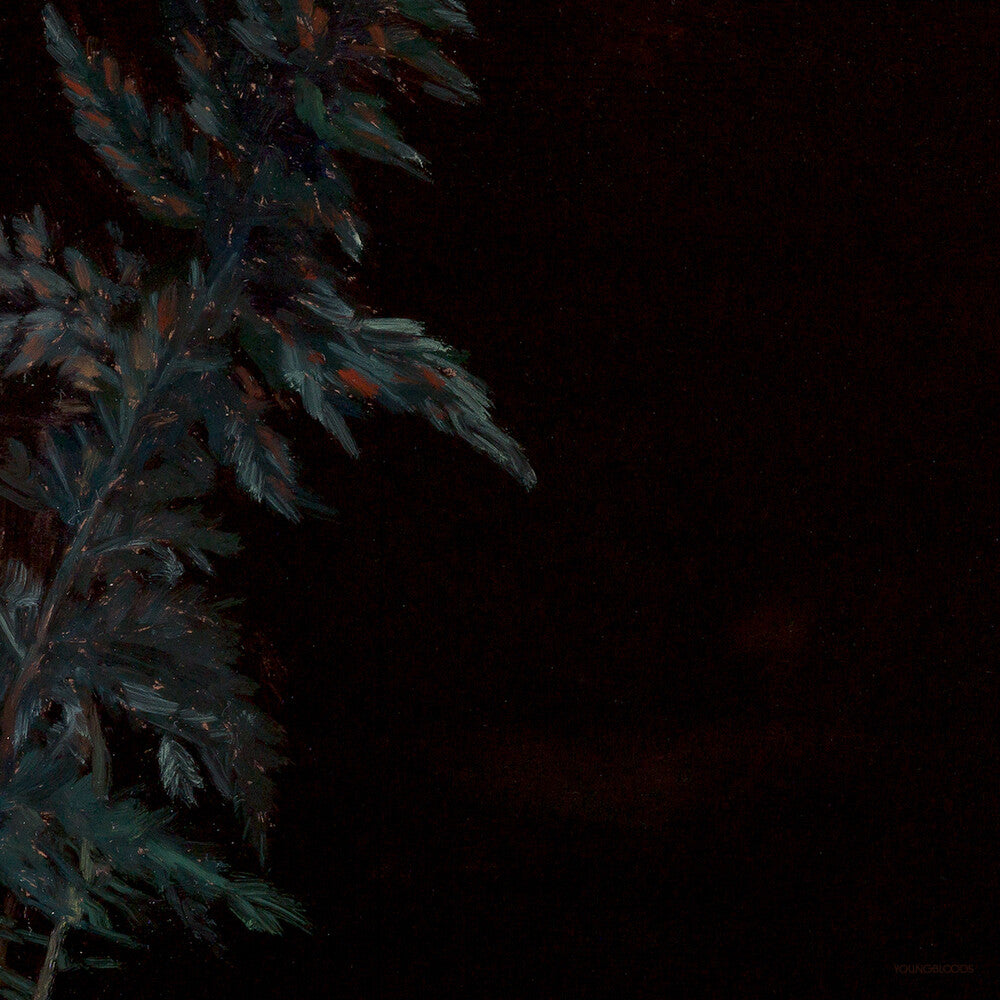 the album cover for Roleff, Lucy / Smith, Lehmann B - Dark Green