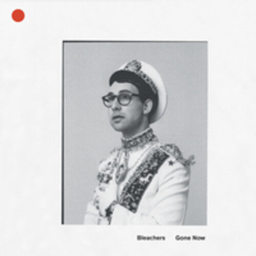 The Bleachers - Gone Now (Vinilo)
