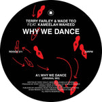 the album cover for Terry Farley - Why We Dance