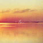 アンディ・シャウフ - Norm (CD)