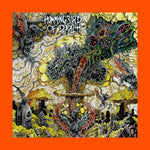 the album cover for Hummingbird Of Death - Forbidden Techniques