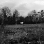 Flatsound - When You Run Away, Do You Close Your Eyes (Vinyl)