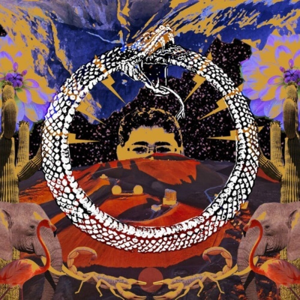 the album cover for Stone House on Fire - Neverending Cycle