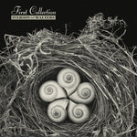 the album cover for Iverson & Walters - First Collection