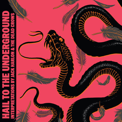 Hail To The Underground (Vinyl)