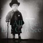 Joe Henry - ALL THE EYE CAN SEE (CD)