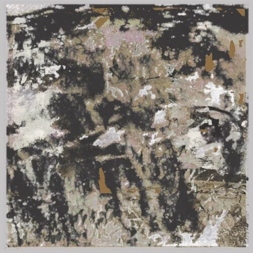 Loraine James - Building Something Beautiful For Me (Vinyl)