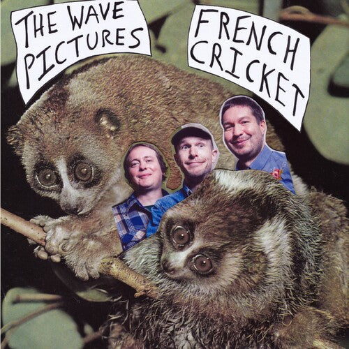 The Wave Pictures - French Cricket (Vinyl)