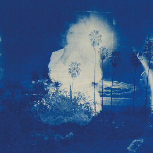 Fruit Bats - A River Running to Your Heart (IEX) (Vinyl)