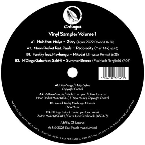Varios Artistas - Foliage Records: Sampler de Vinilo Vol. 1 (Varios Artistas) (Vinilo)