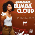 the album cover for Bumbacloud - Can I Buy You A Drink? (Mod)