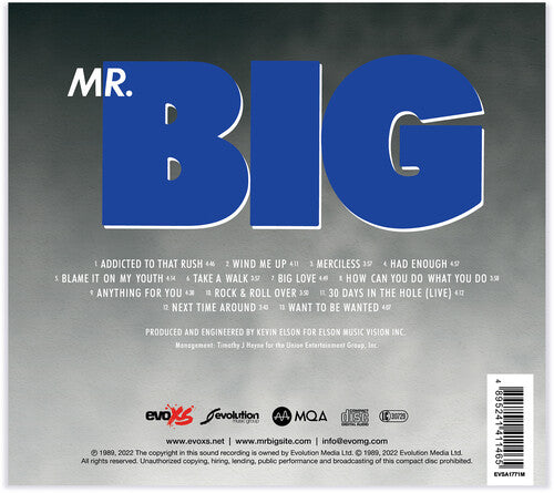 ミスター・ビッグ - Mr.Big - Mqa-CD (CD)