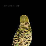 Andrew Bird - Armchair Apocrypha (Vinilo)