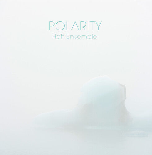 Hoff Ensemble - Polarity (Vinilo)