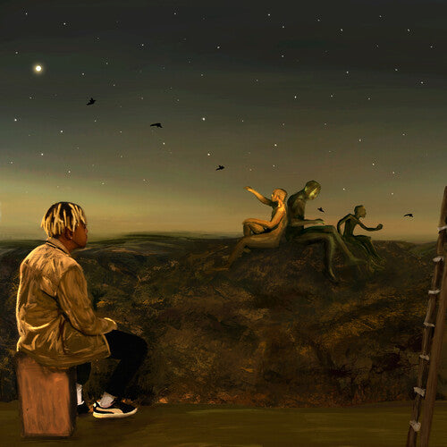 コーデ - From A Birds Eye View (ビニールレコード)