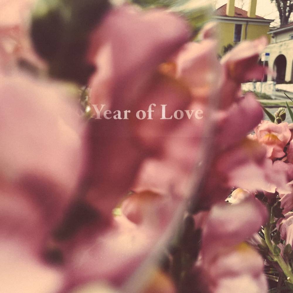 the album cover for Beta Radio - Year Of Love