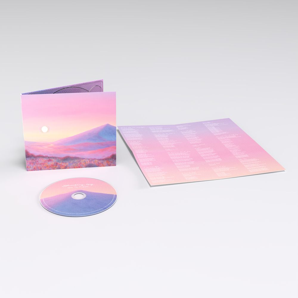 the album cover for Strawberry Guy - Give Me A Dream