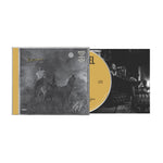 the album cover for Koe Wetzel - Night Champion