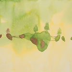 Yes - Live at Knoxville Civic Aud. (Vinyl)