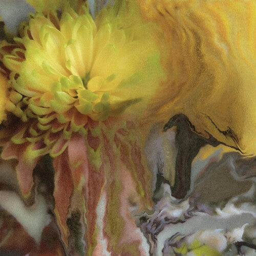 パーカー・ミルサップ - Wilderness Within You (レコード)