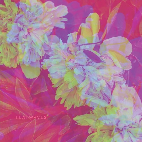 Flatwaves - Numbra (Vinyl)