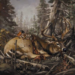 アカシア・ストレイン - ステップ・イントゥ・ザ・ライト (CD)