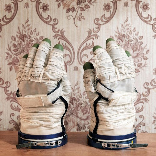 David Sylvian - Wandermude (CD)