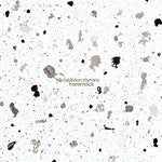 ハンモック - Oblivion Hymns (ビニールレコード)