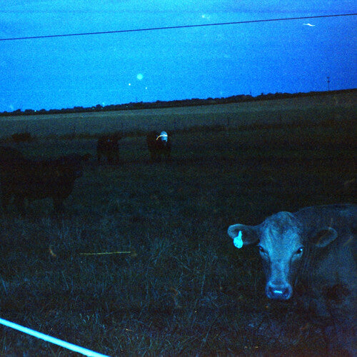 forma de onda* - Antártida - Azul oscuro (vinilo)