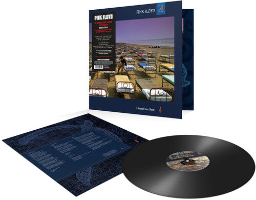 Pink Floyd - Momentary Lapse Of Reason (Vinyl)