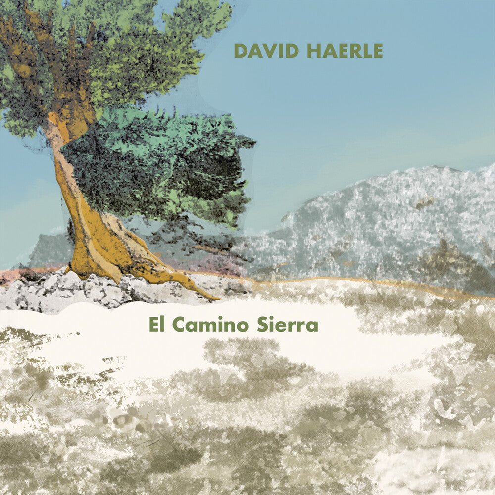 the album cover for David Haerle - El Camino Sierra