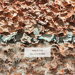 Cable Ties - Todos sus planes (CD)