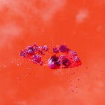 the album cover for Ami Dang - Living World's Demands