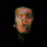 ランタンズ・オン・ザ・レイク - バージョンズ・オブ・アス(レコード)