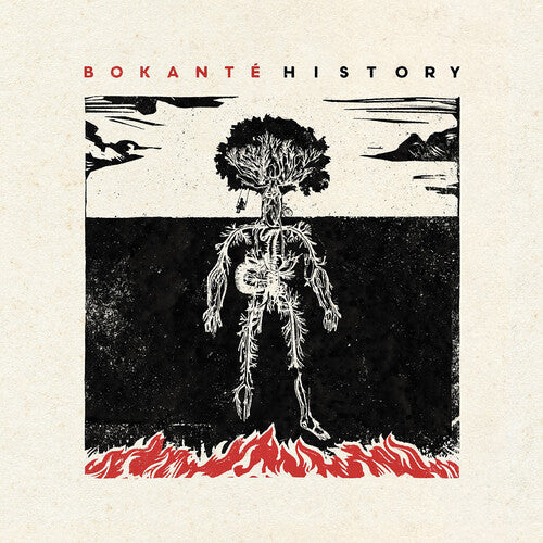 Bokante - Historia (Vinilo)