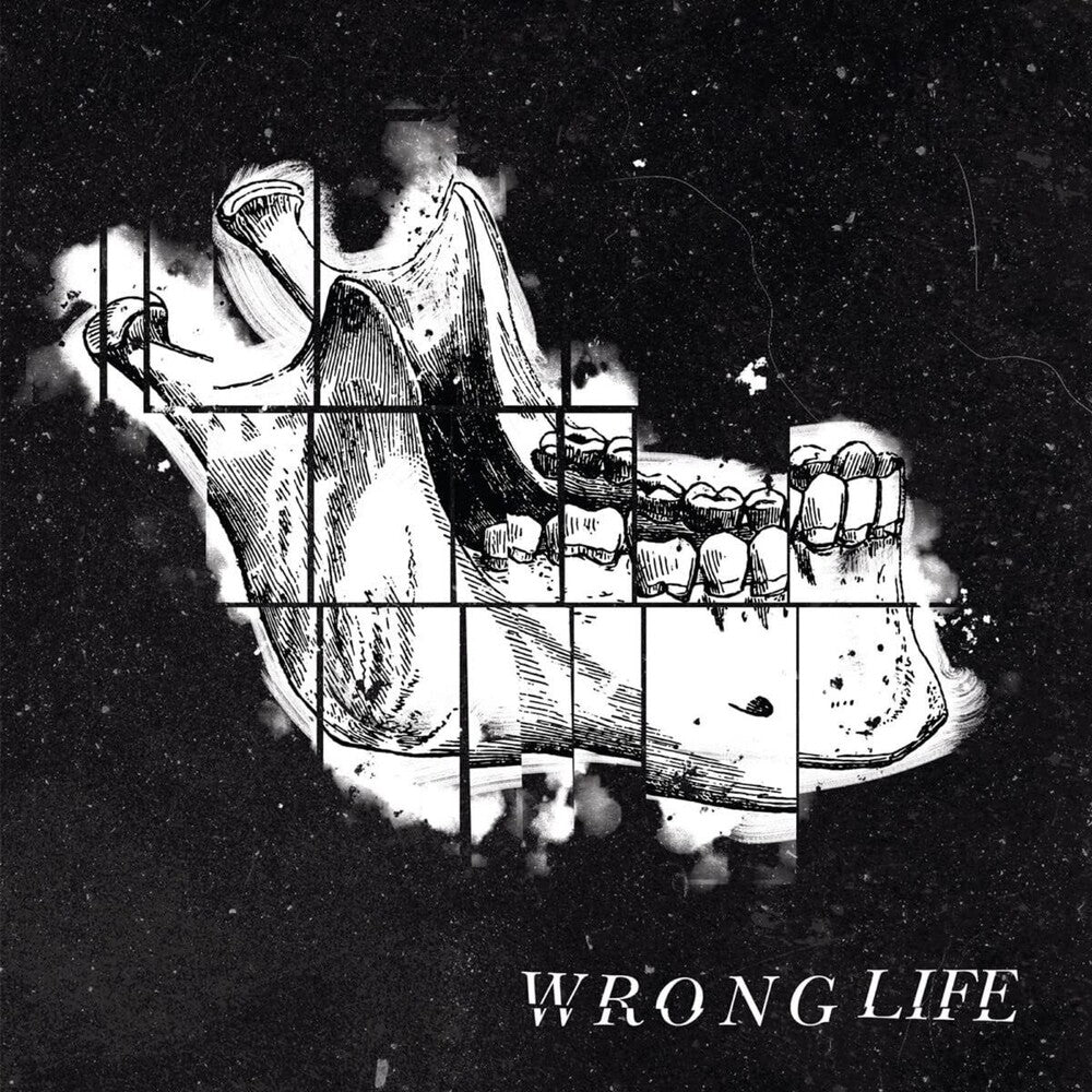 the album cover for Wrong Life - Wrong Life