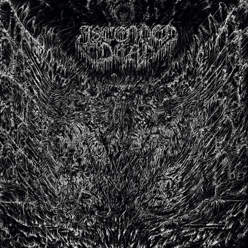 Ascended Dead - Evenfall Of The Apocalypse - Salpicaduras de plata, negro y blanco (Vinilo)