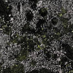 キング・ギザード・アンド・ザ・リザード・ウィザード - インフェスト・ザ・ラッツ・ネスト(2022年レッドロックス公演)(レコード)